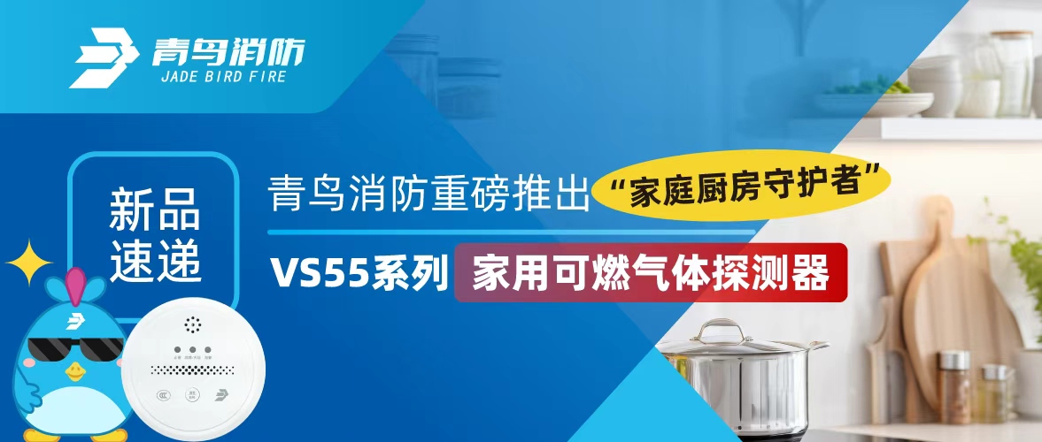 新品速递 | 豪门国际重磅推出&ldquo;家庭厨房守护者&rdquo;&mdash;&mdash;VS55系列家用可燃气体探测器